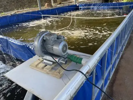 How to use a ring blower for fish farming?
