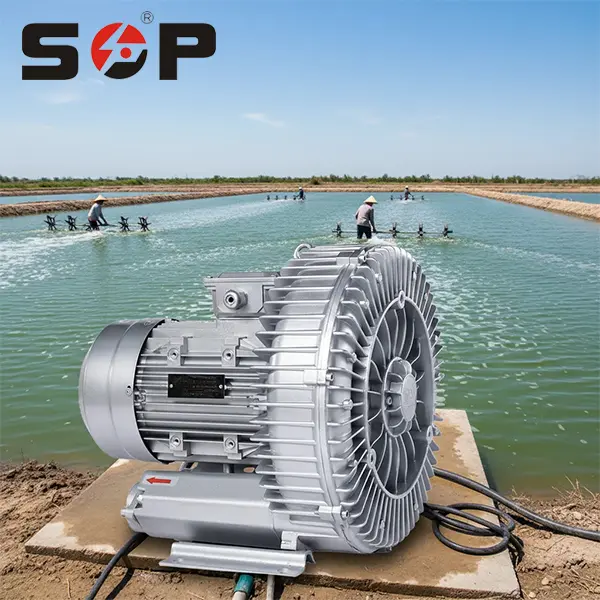High Pressure Ring Blower for Aquaculture Aeration Systems