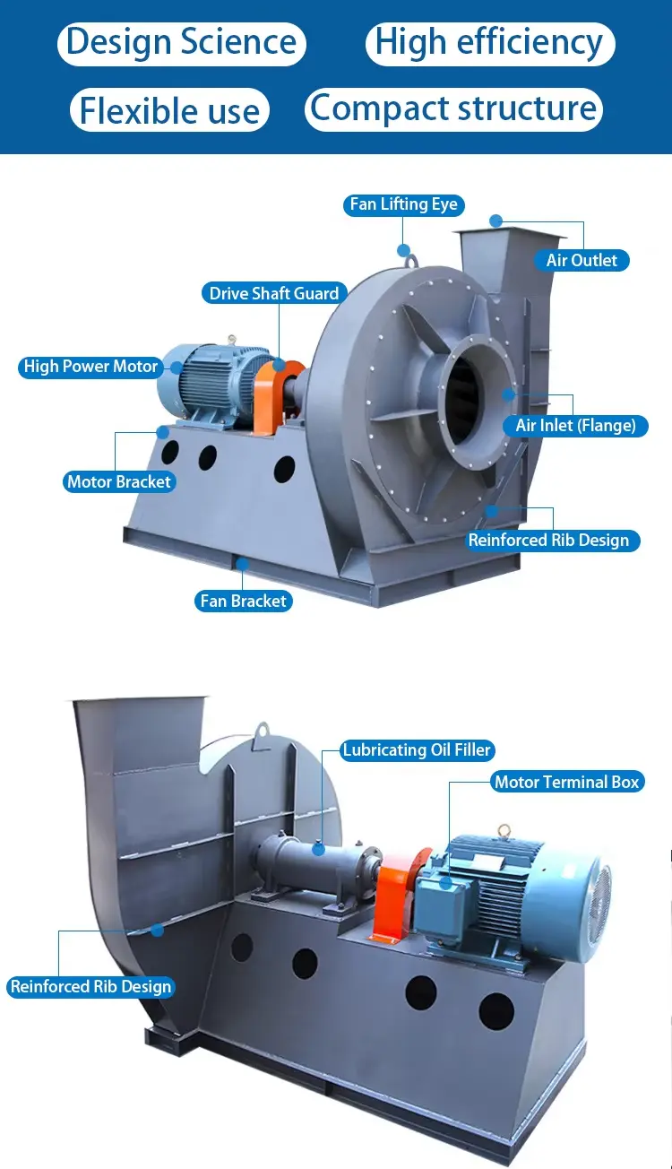 Large Centrifugal Fan-5